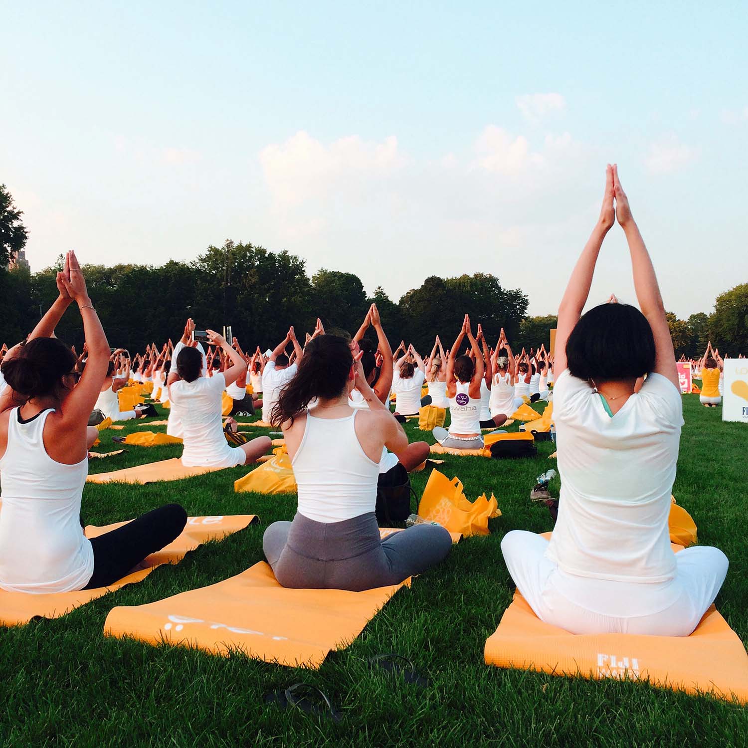 yoga K9QEMRY.jpg